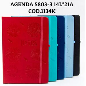 AGENDA 5803-3