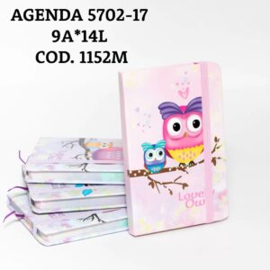 AGENDA 5702-17