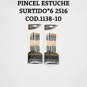 PINCEL ESTUCHE